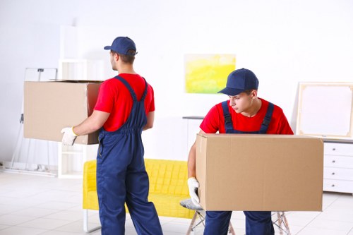 Illustration representing accessible service information for Man And A Van Bow
